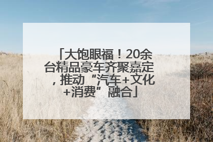 大饱眼福！20余台精品豪车齐聚嘉定，推动“汽车+文化+消费”融合