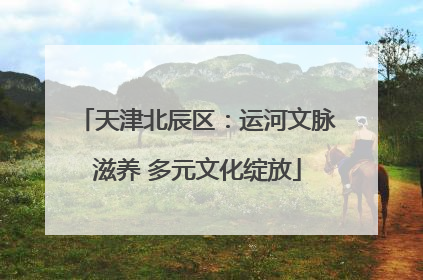 天津北辰区：运河文脉滋养 多元文化绽放
