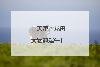 天津：龙舟大赛迎端午