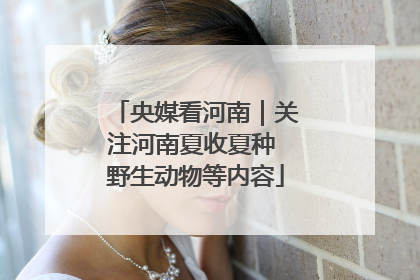 央媒看河南｜关注河南夏收夏种 野生动物等内容