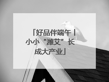 好品伴端午丨小小“潍艾”长成大产业