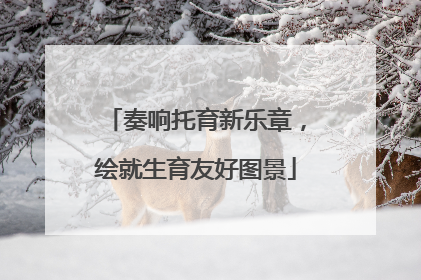 奏响托育新乐章，绘就生育友好图景