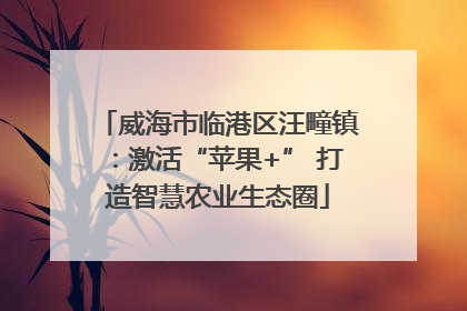 威海市临港区汪疃镇：激活“苹果+” 打造智慧农业生态圈