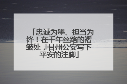 忠诚为墨、担当为锋！在千年丝路的褶皱处，甘州公安写下平安的注脚