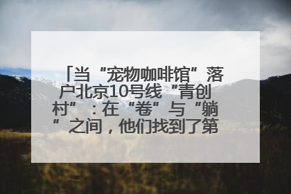 当“宠物咖啡馆”落户北京10号线“青创村”：在“卷”与“躺”之间，他们找到了第三种生活公式