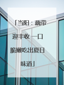 当阳：藕带迎丰收 一口脆嫩吃出夏日味道