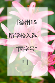 德州15所学校入选“国字号”！