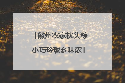 徽州农家枕头粽 小巧玲珑乡味浓