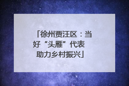 徐州贾汪区：当好“头雁”代表 助力乡村振兴