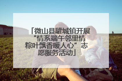 微山县驩城镇开展“情系端午邻里情 粽叶飘香暖人心”志愿服务活动