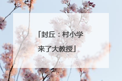 封丘：村小学来了大教授