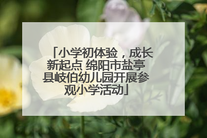 小学初体验，成长新起点 绵阳市盐亭县岐伯幼儿园开展参观小学活动