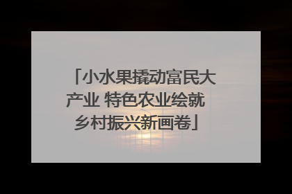 小水果撬动富民大产业 特色农业绘就乡村振兴新画卷