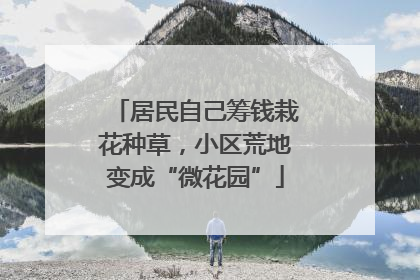 居民自己筹钱栽花种草，小区荒地变成“微花园”
