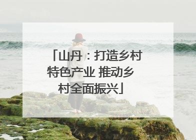 山丹：打造乡村特色产业 推动乡村全面振兴