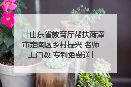 山东省教育厅帮扶菏泽市定陶区乡村振兴 名师上门教 专利免费送