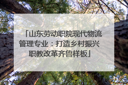 山东劳动职院现代物流管理专业：打造乡村振兴职教改革齐鲁样板