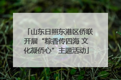 山东日照东港区侨联开展“粽香传四海 文化凝侨心”主题活动