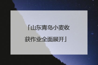 山东青岛小麦收获作业全面展开