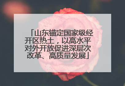 山东锚定国家级经开区热土，以高水平对外开放促进深层次改革、高质量发展