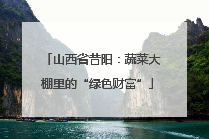 山西省昔阳：蔬菜大棚里的“绿色财富”