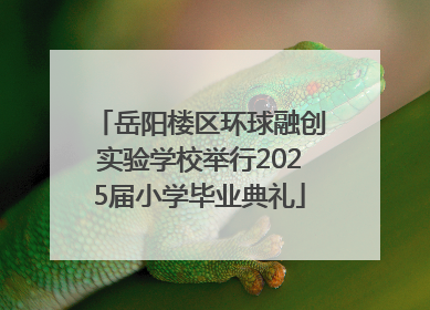 岳阳楼区环球融创实验学校举行2025届小学毕业典礼