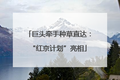 巨头牵手种草直达：“红京计划”亮相