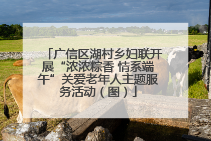 广信区湖村乡妇联开展“浓浓粽香 情系端午”关爱老年人主题服务活动（图）