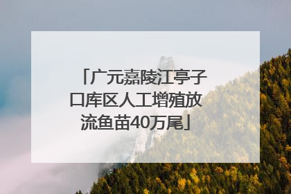 广元嘉陵江亭子口库区人工增殖放流鱼苗40万尾
