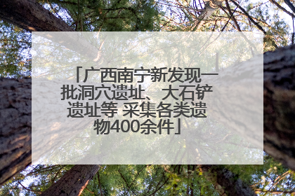 广西南宁新发现一批洞穴遗址、大石铲遗址等 采集各类遗物400余件