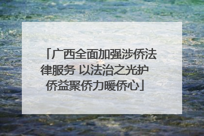 广西全面加强涉侨法律服务 以法治之光护侨益聚侨力暖侨心