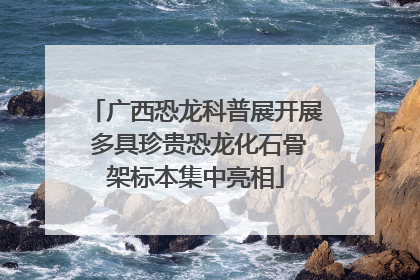 广西恐龙科普展开展 多具珍贵恐龙化石骨架标本集中亮相