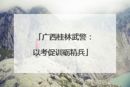 广西桂林武警：以考促训砺精兵