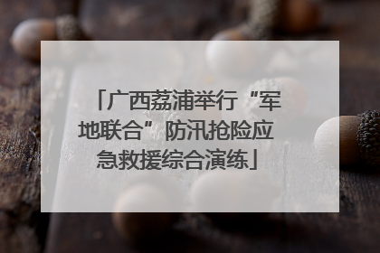 广西荔浦举行“军地联合”防汛抢险应急救援综合演练