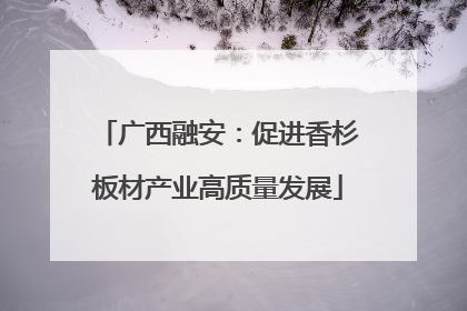 广西融安：促进香杉板材产业高质量发展