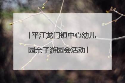 平江龙门镇中心幼儿园亲子游园会活动