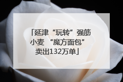 延津“玩转”强筋小麦 “魔方面包”卖出132万单