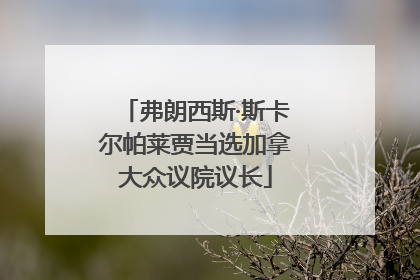 弗朗西斯·斯卡尔帕莱贾当选加拿大众议院议长