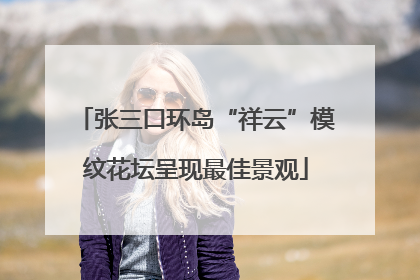 张三口环岛“祥云”模纹花坛呈现最佳景观