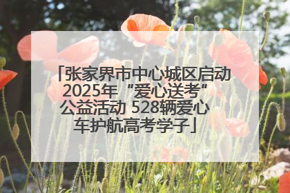 张家界市中心城区启动2025年“爱心送考”公益活动 528辆爱心车护航高考学子