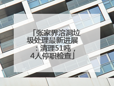 张家界溶洞垃圾处理最新进展：清理51吨，4人停职检查