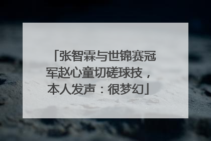 张智霖与世锦赛冠军赵心童切磋球技，本人发声：很梦幻