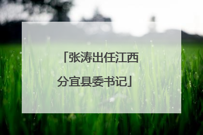张涛出任江西分宜县委书记