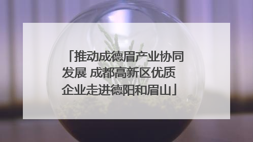 推动成德眉产业协同发展 成都高新区优质企业走进德阳和眉山