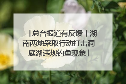 总台报道有反馈丨湖南两地采取行动打击洞庭湖违规钓鱼现象