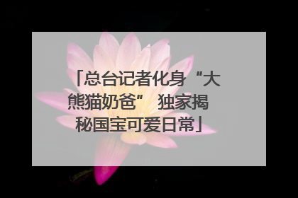 总台记者化身“大熊猫奶爸” 独家揭秘国宝可爱日常