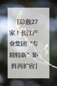 总数27家！长江产业集团“专精特新”矩阵再扩容