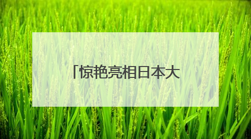 惊艳亮相日本大阪！厦门在大阪世博会上举办城市主题日活动