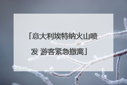 意大利埃特纳火山喷发 游客紧急撤离