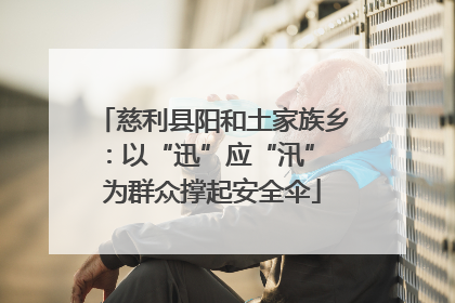 慈利县阳和土家族乡：以“迅”应“汛” 为群众撑起安全伞